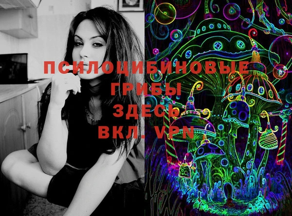 соль ск Надым