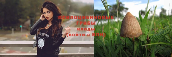 винт Михайловск