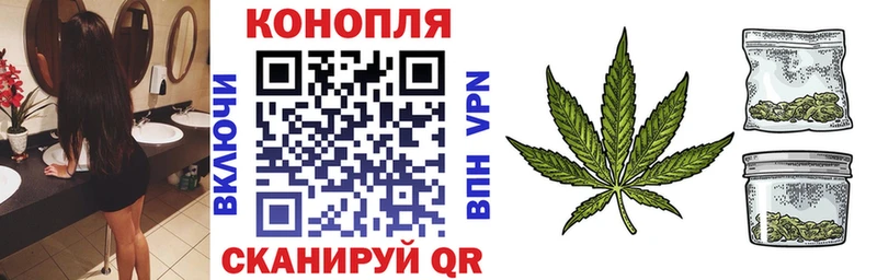 Шишки марихуана марихуана  Калининец 